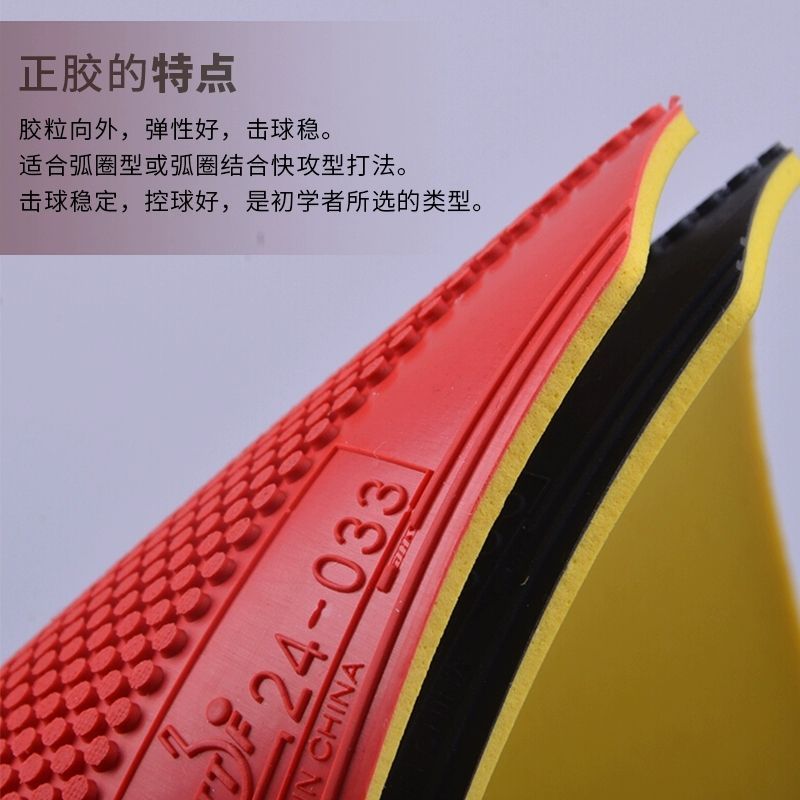 ยางปิงปอง DHS Dragon Shadow แบ - Table Tennis Market บทวิจารณ์และราคา