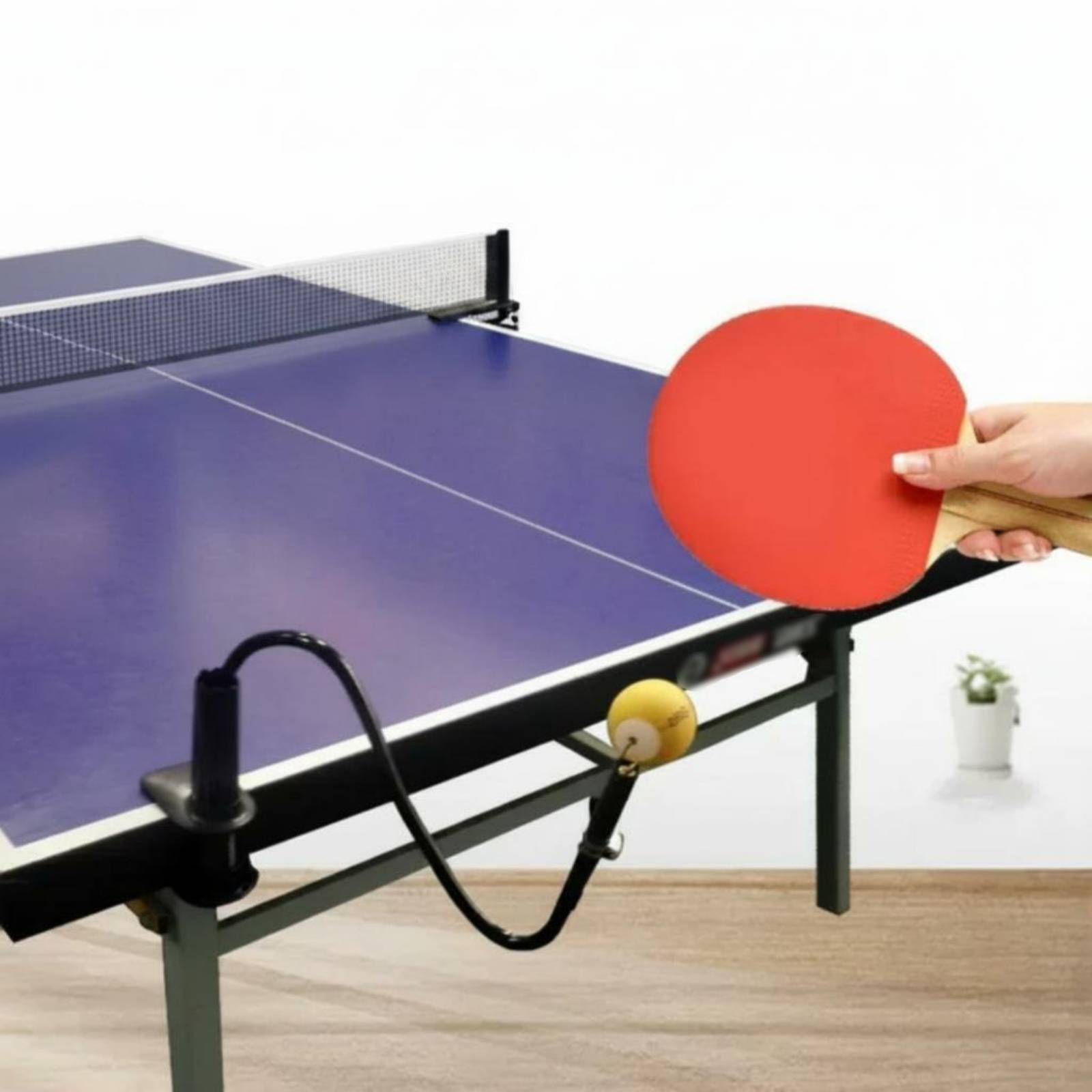 อุปกรณ์ช่วยฝึกซ้อมปิงปองแบบเดี - Table Tennis Youtube บทวิจารณ์และราคา